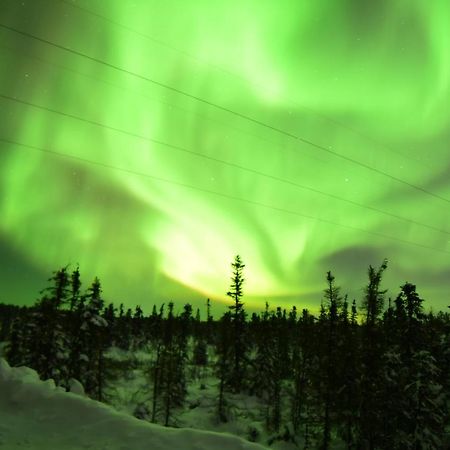 Aurora Deluxe Guest House Yellowknife Εξωτερικό φωτογραφία